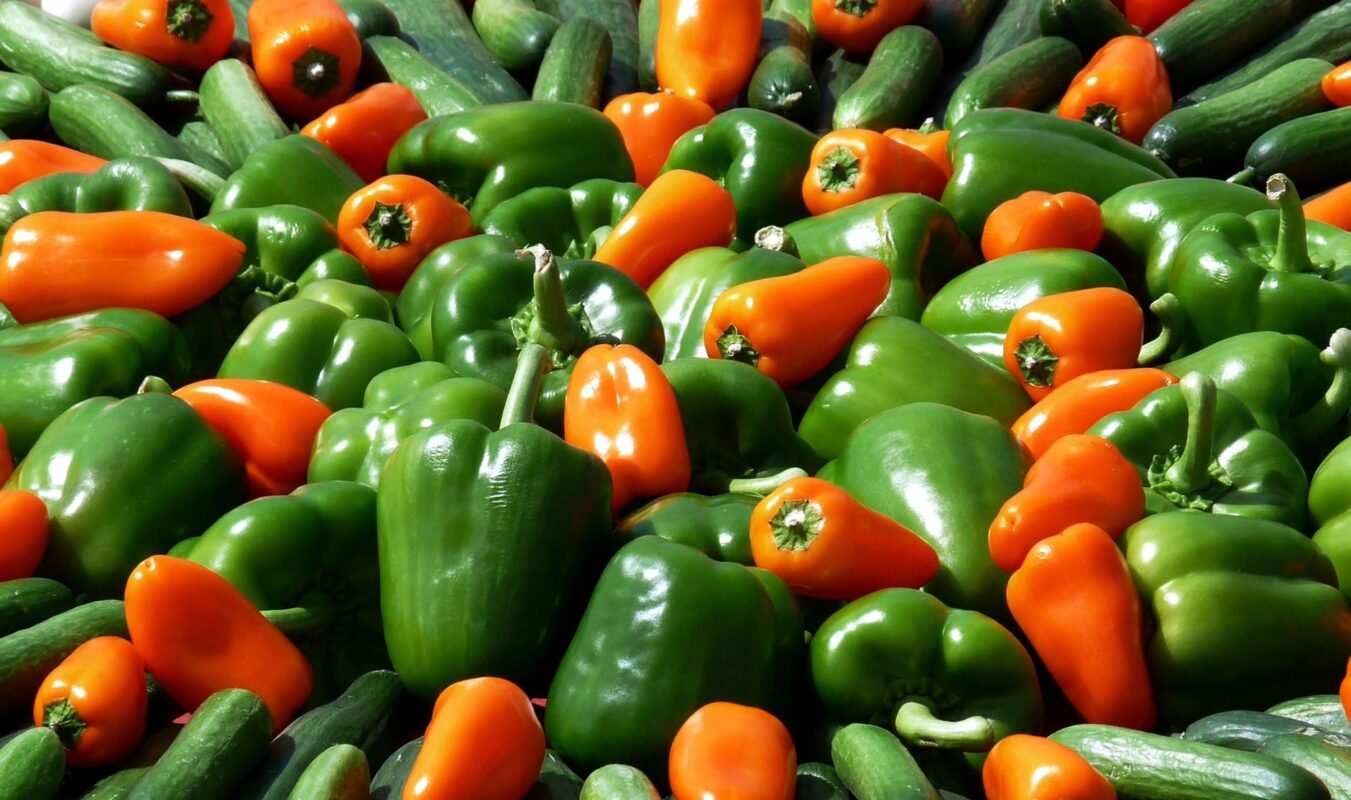 food healthy vegetables vegetarian