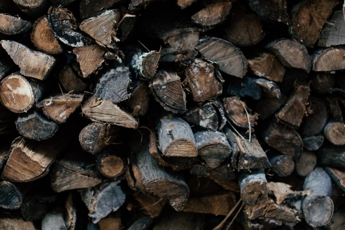 texture tree firewood bark