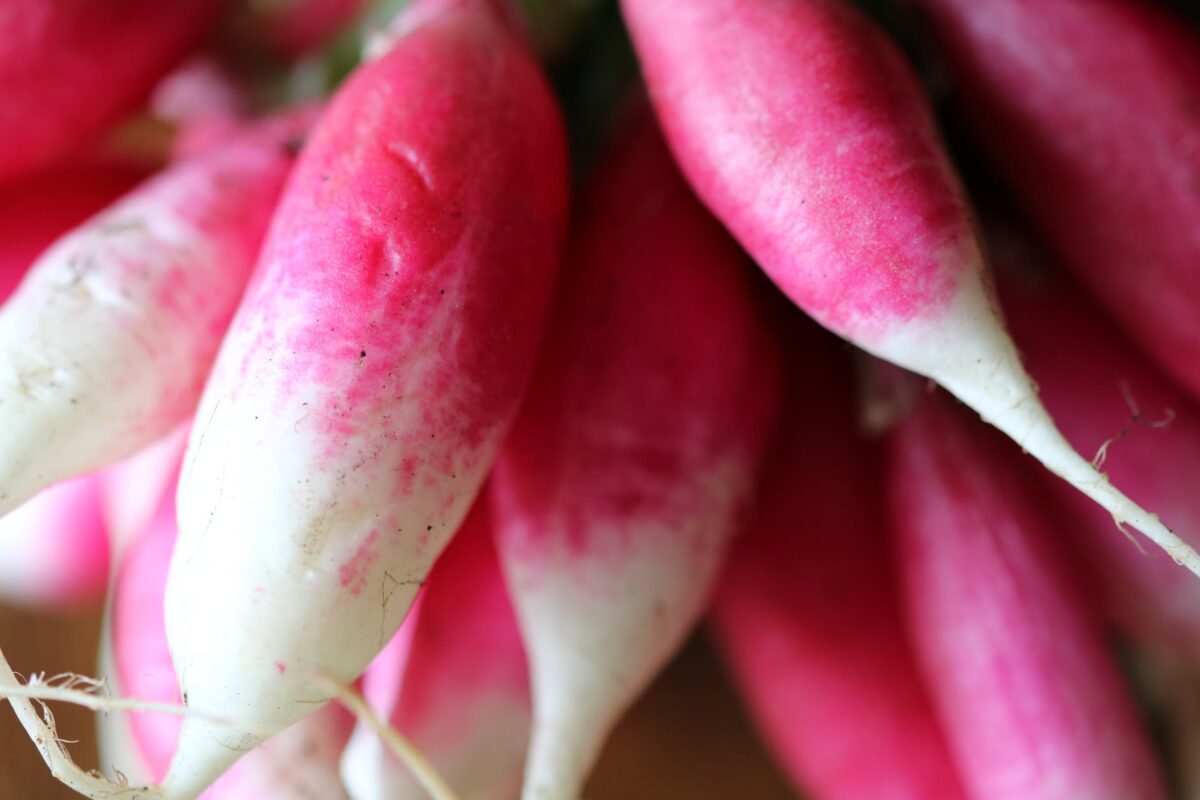 selective focus photo of red radish
