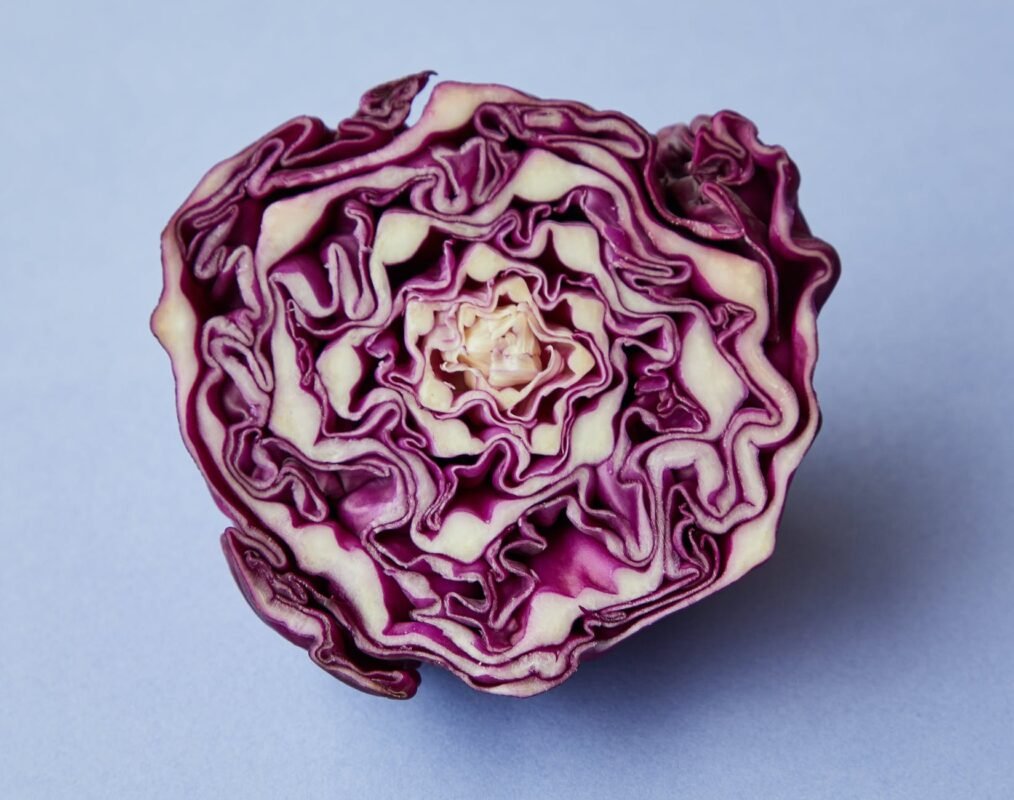 half of fresh cabbage on table