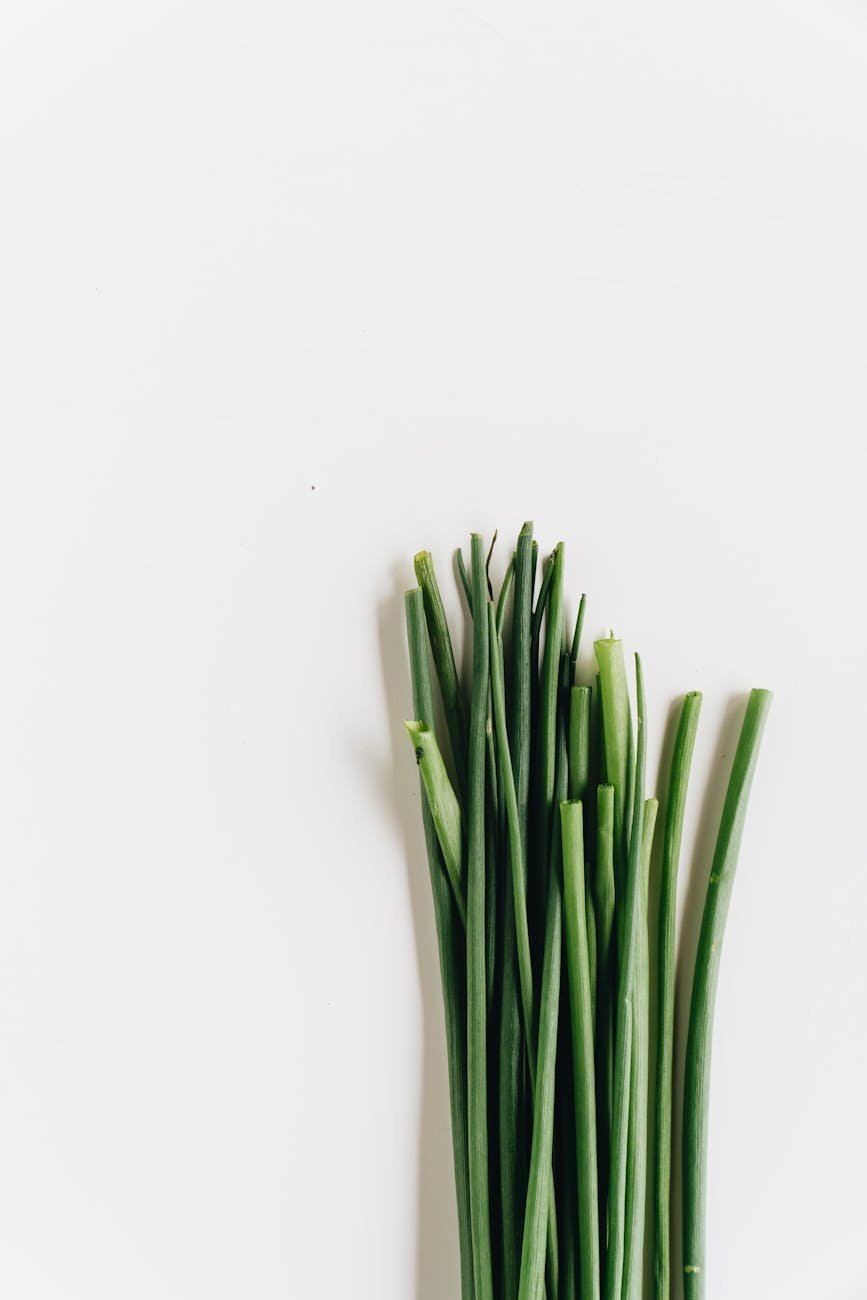 close up photo of garlic chives