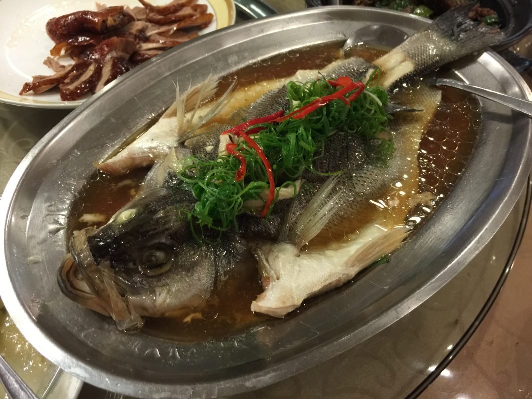 Steamed fish with scallion oil