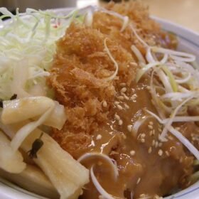 Katsu Don with Sesame Sauce