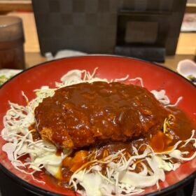 Demi Katsudon